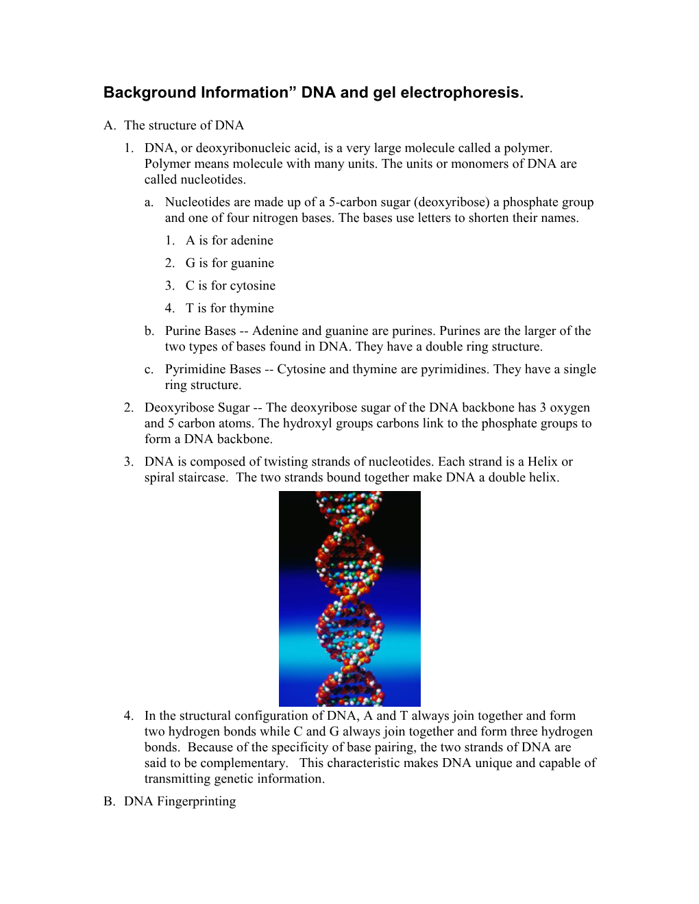 Background Information DNA and Gel Electrophoresis