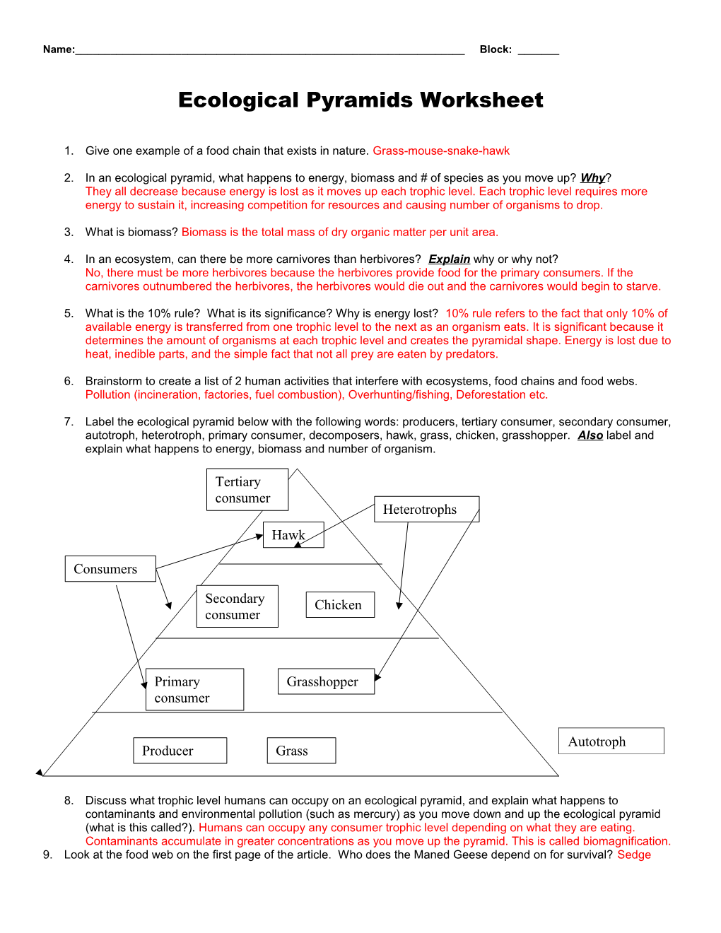 Food Chains, Food Webs and Ecological Pyramids