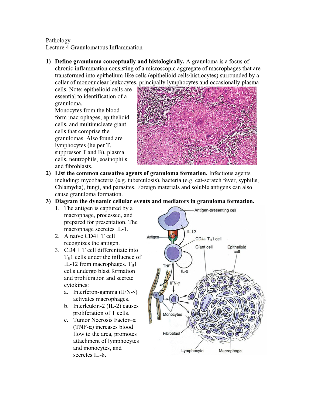 Lecture 4 Granulomatous Inflammation