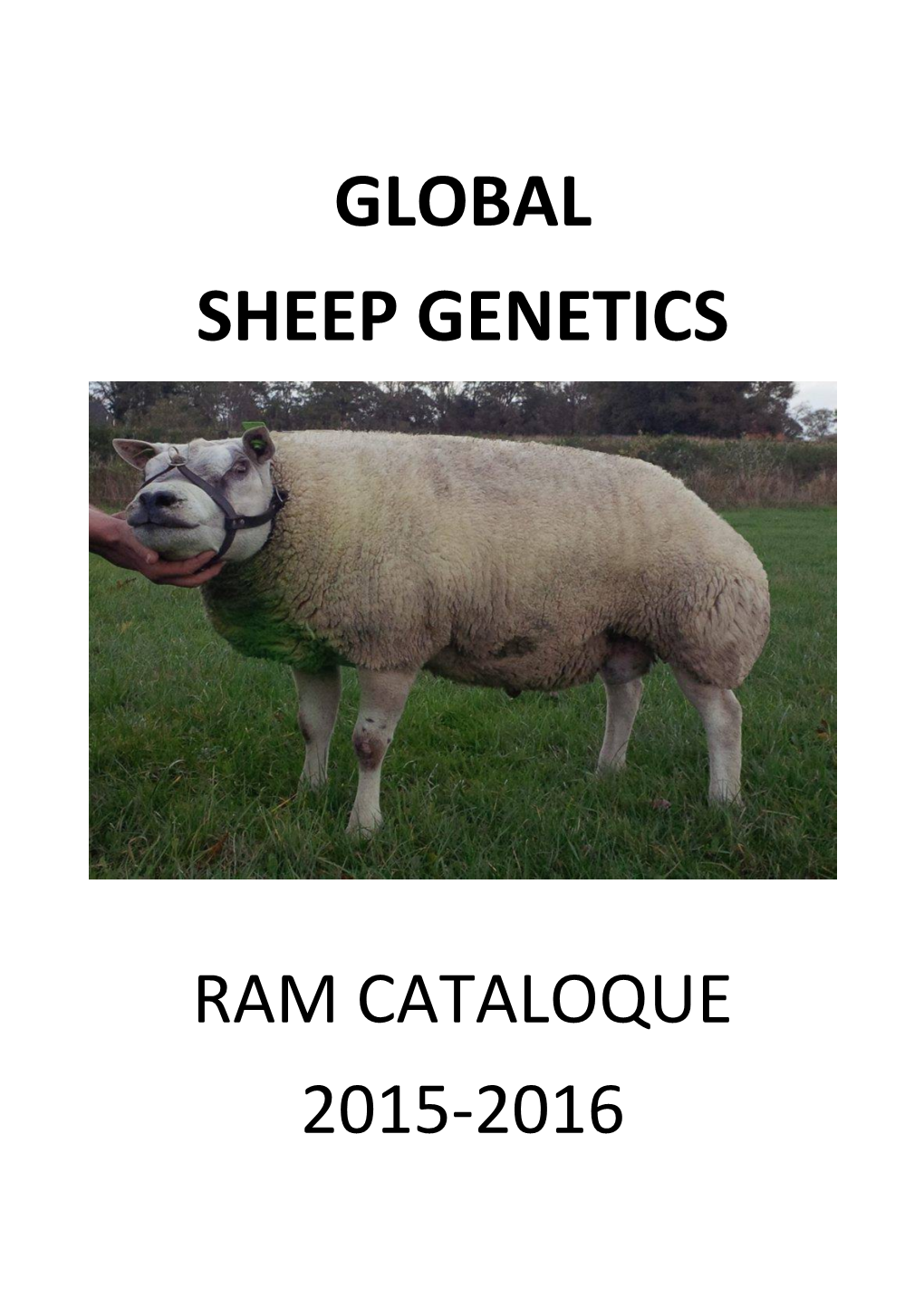 Welcome to Global Sheep Genetics!