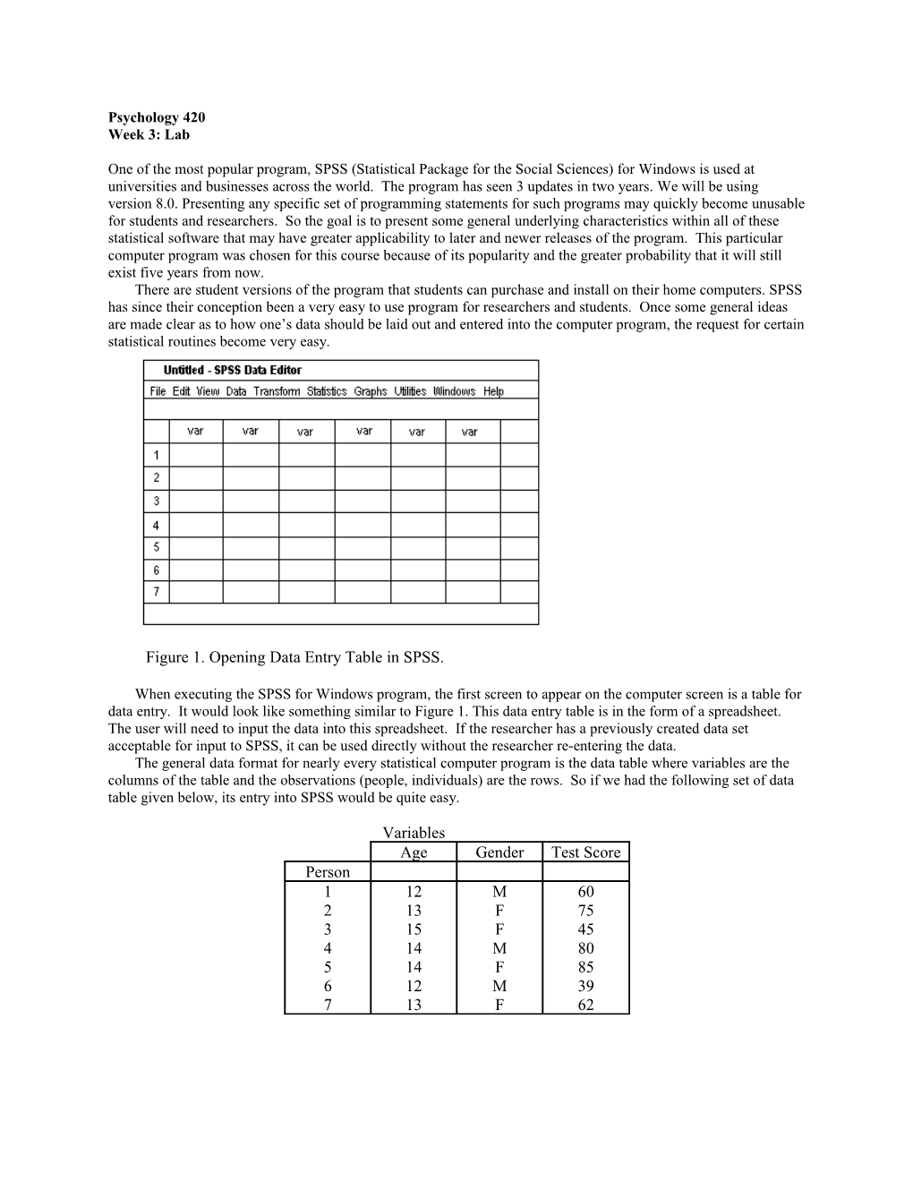 Figure 1. Opening Data Entry Table in SPSS