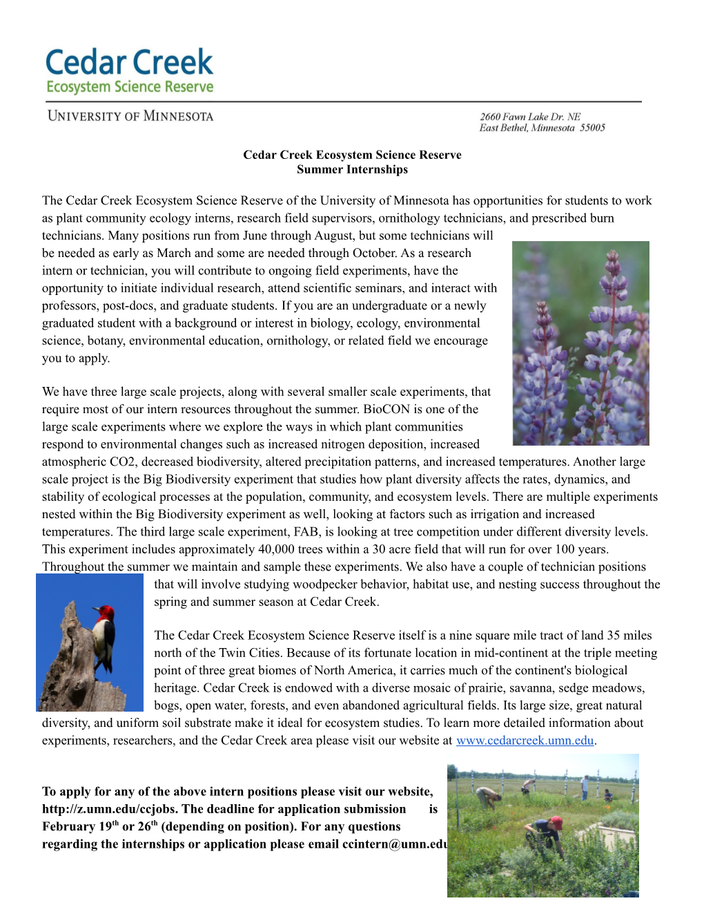 Cedar Creek Ecosystem Science Reserve