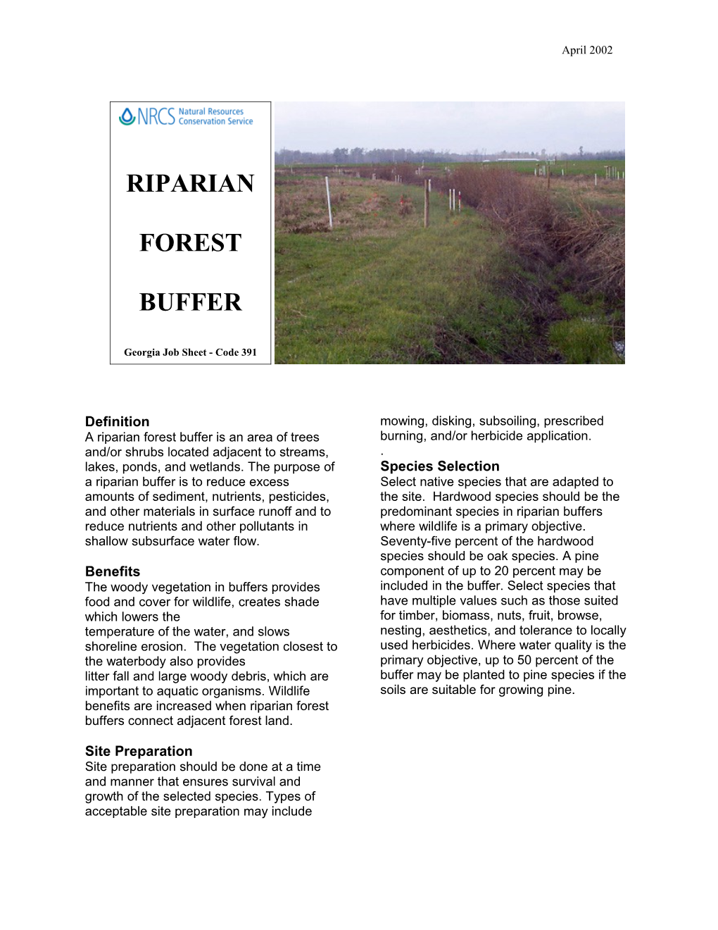 A Riparian Forest Buffer Is an Area of Trees And/Or Shrubs Located Adjacent to Streams