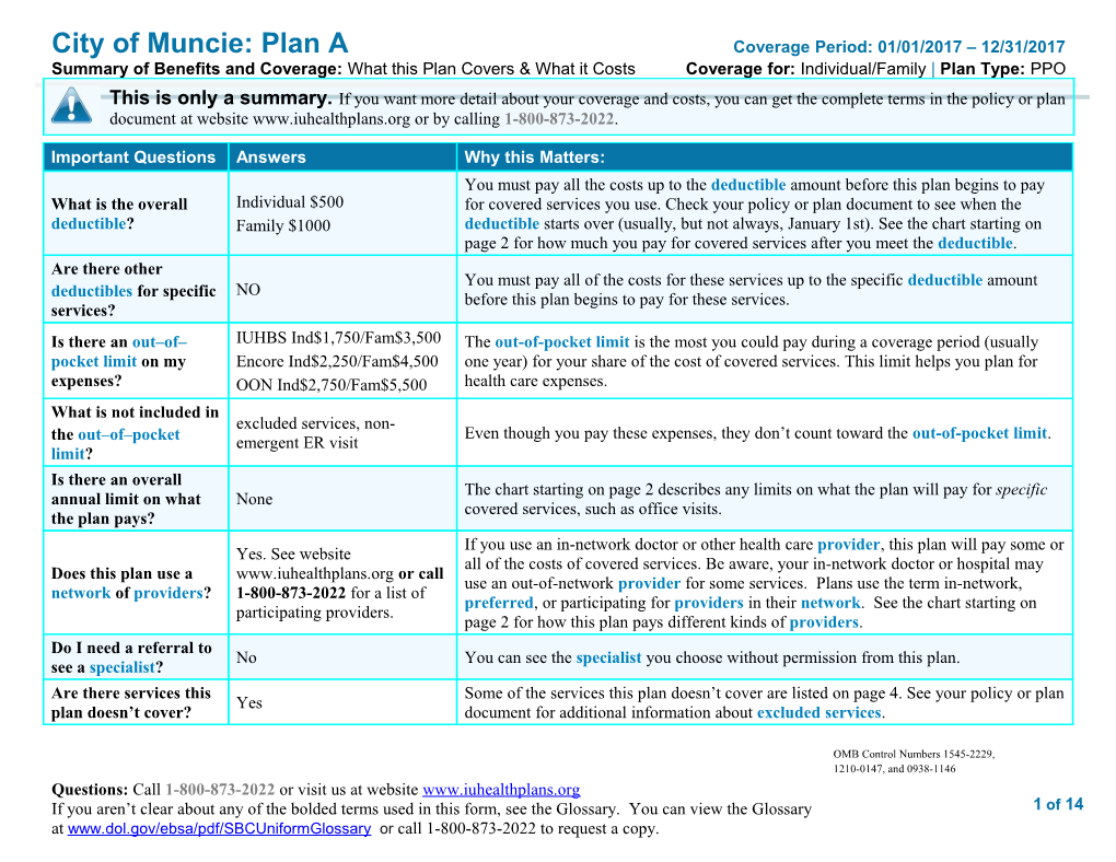 City of Muncie: Plan a Coverage Period: 01/01/2017 12/31/2017