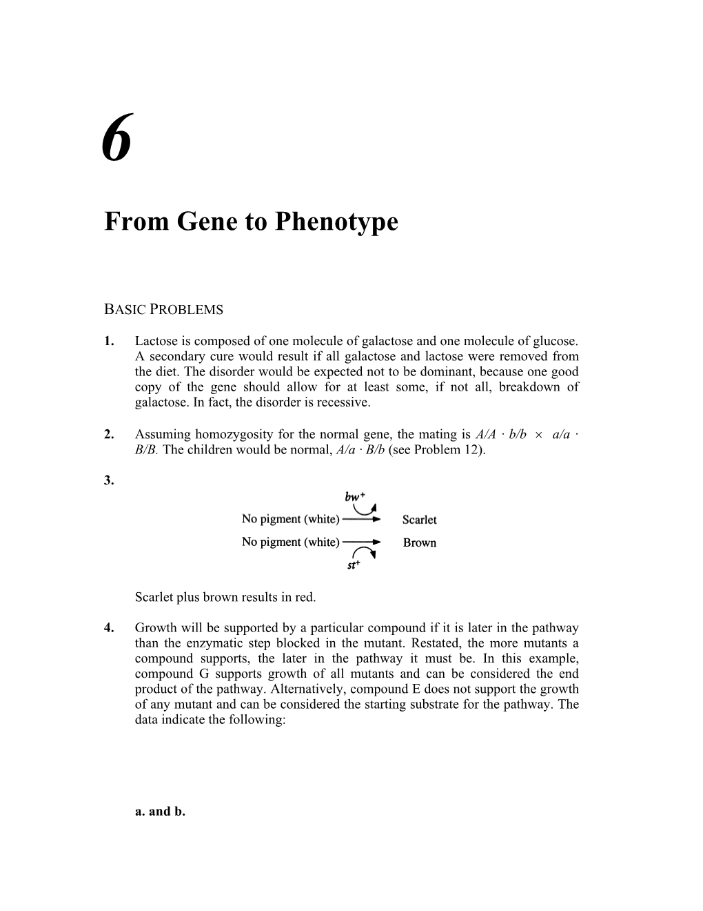 From Gene to Phenotype