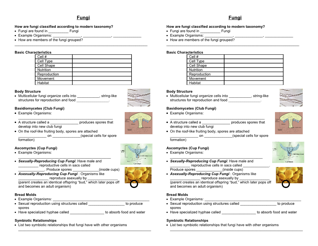 How Are Fungi Classified According to Modern Taxonomy?