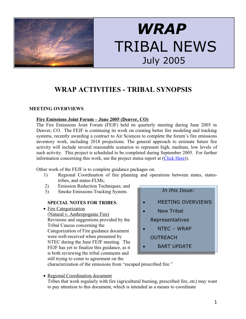 Wrap Activities Tribal Synopsis