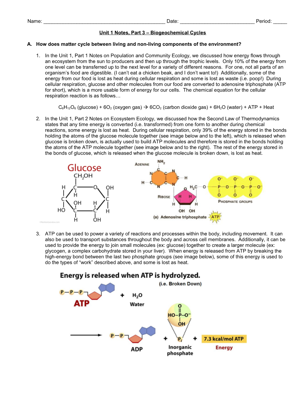 Unit 1 Notes, Part 3 Biogeochemical Cycles