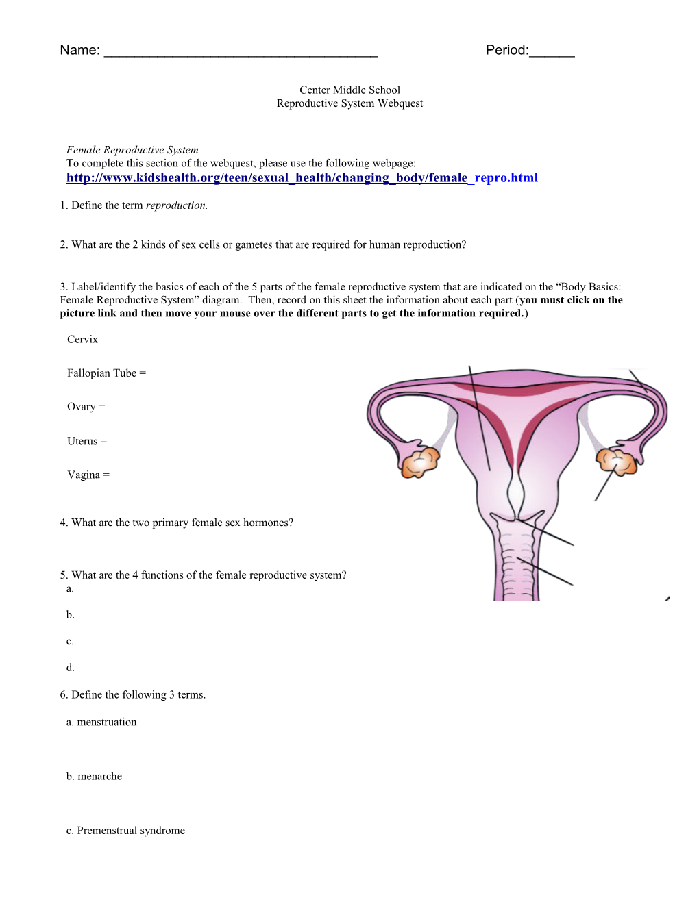 Center Middle School Reproductive System Webquest