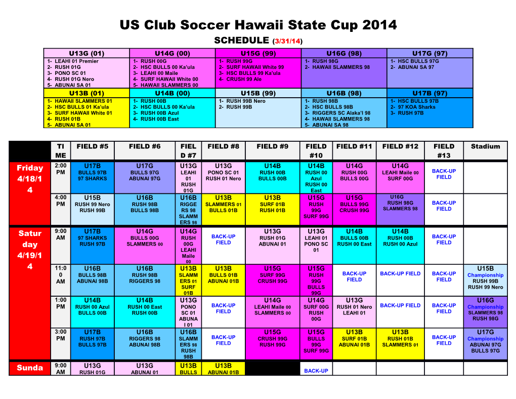 US Club Soccer Hawaii State Cup 2014