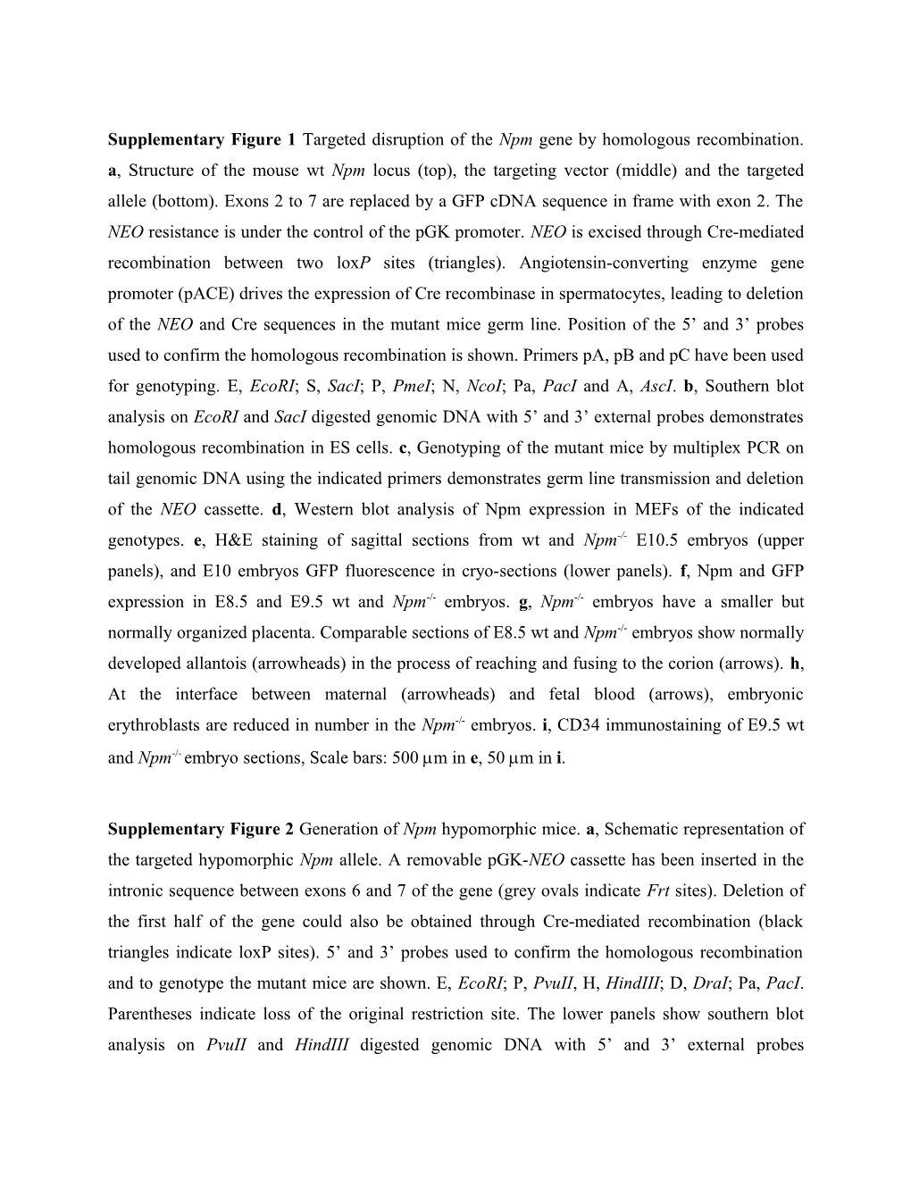 Supplementary Figure 1 Targeted Disruption of the Npm Gene by Homologous Recombination