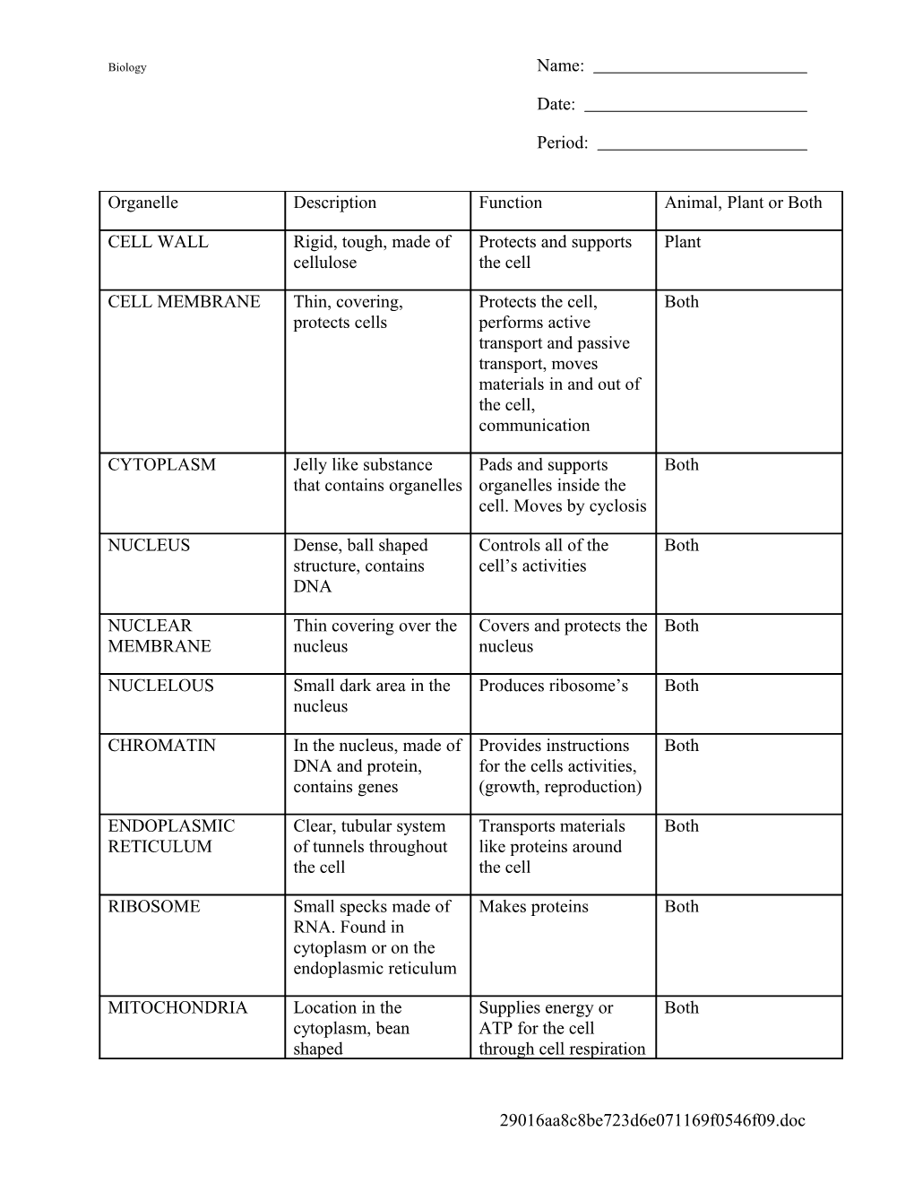 Cell Organelles Worksheet