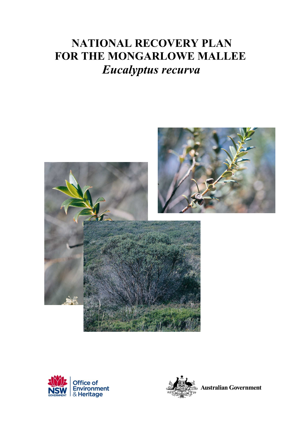 National Recovery Plan for Eucalyptus Recurva