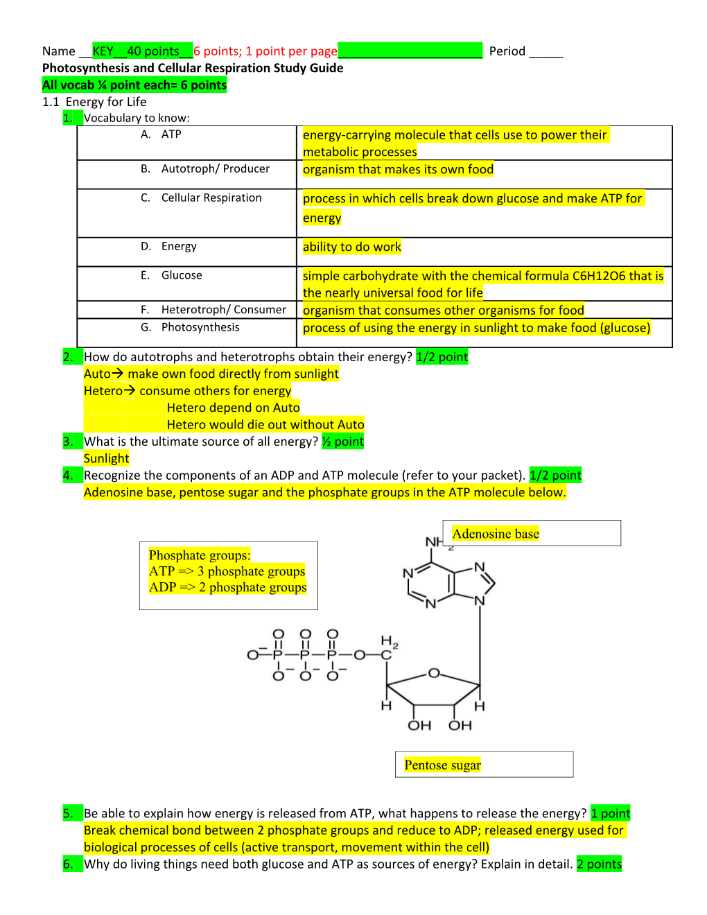 Chapter 8: Photosynthesis Study Guide