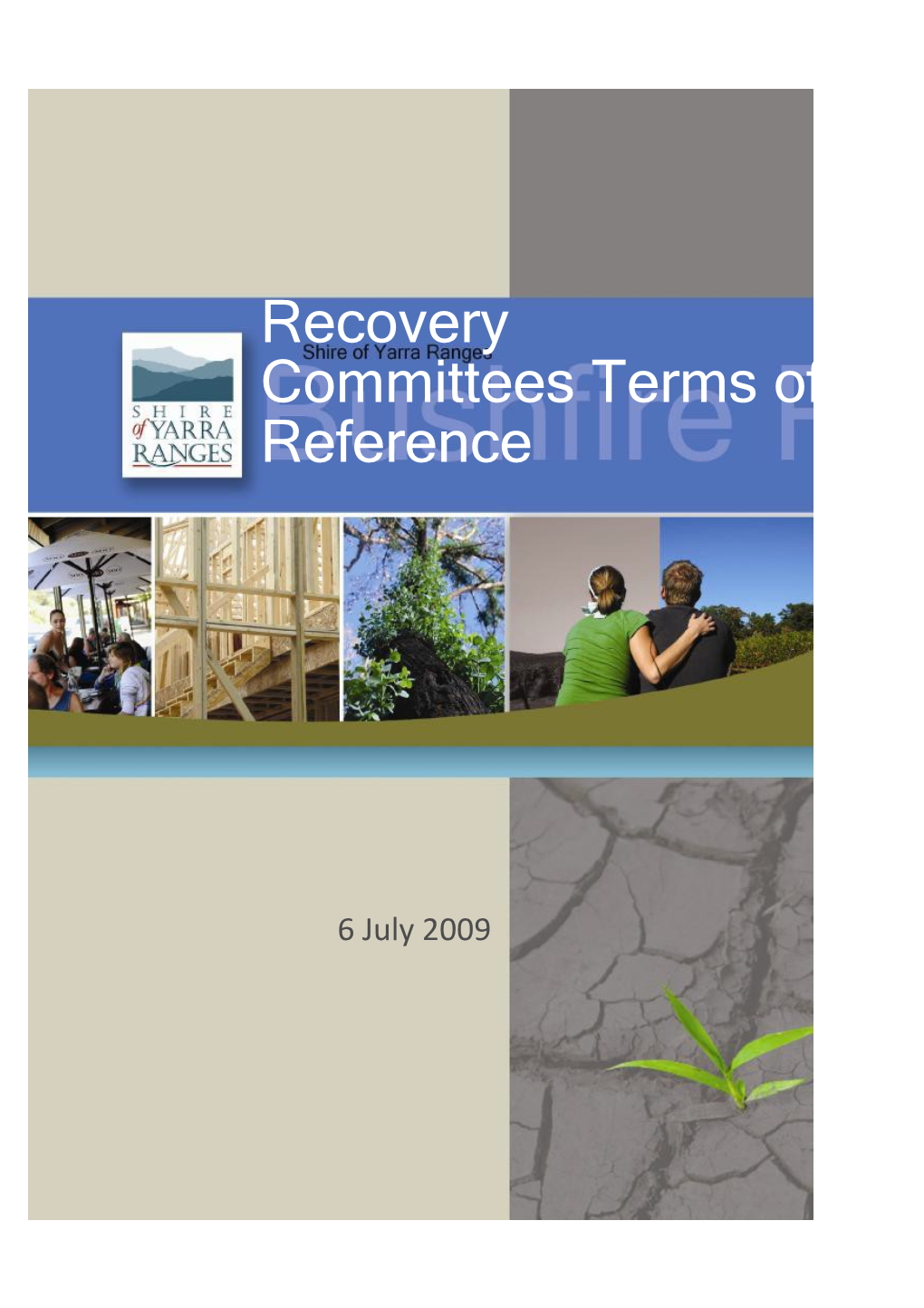 Municipal Recovery Action Plan 6 July 2009 Final Draft