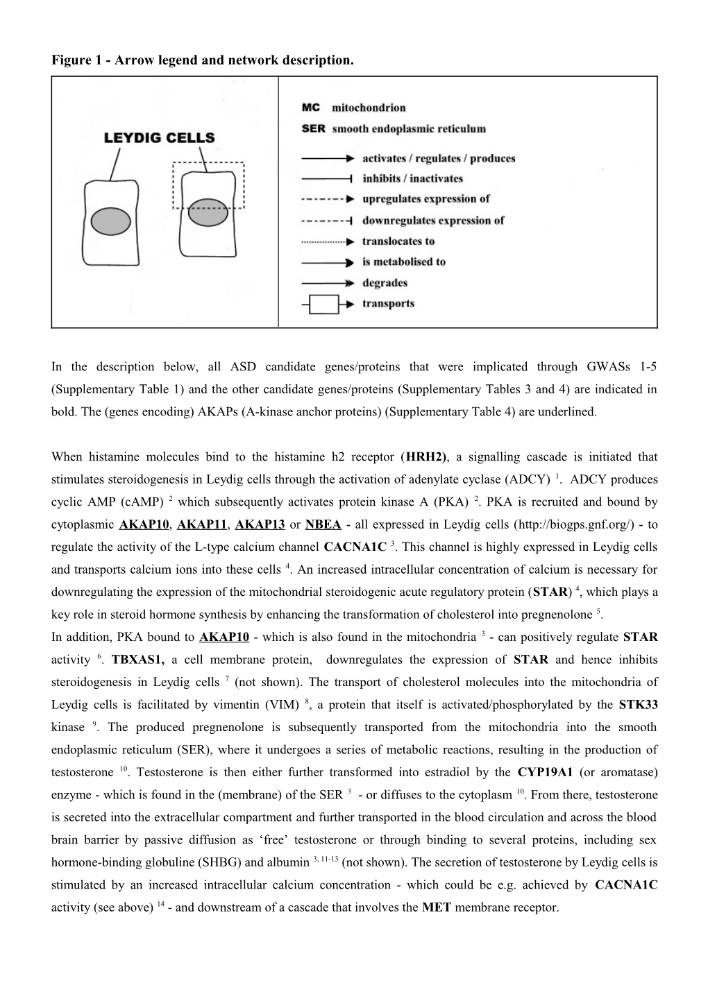 Figure 1 - Arrow Legend and Network Description