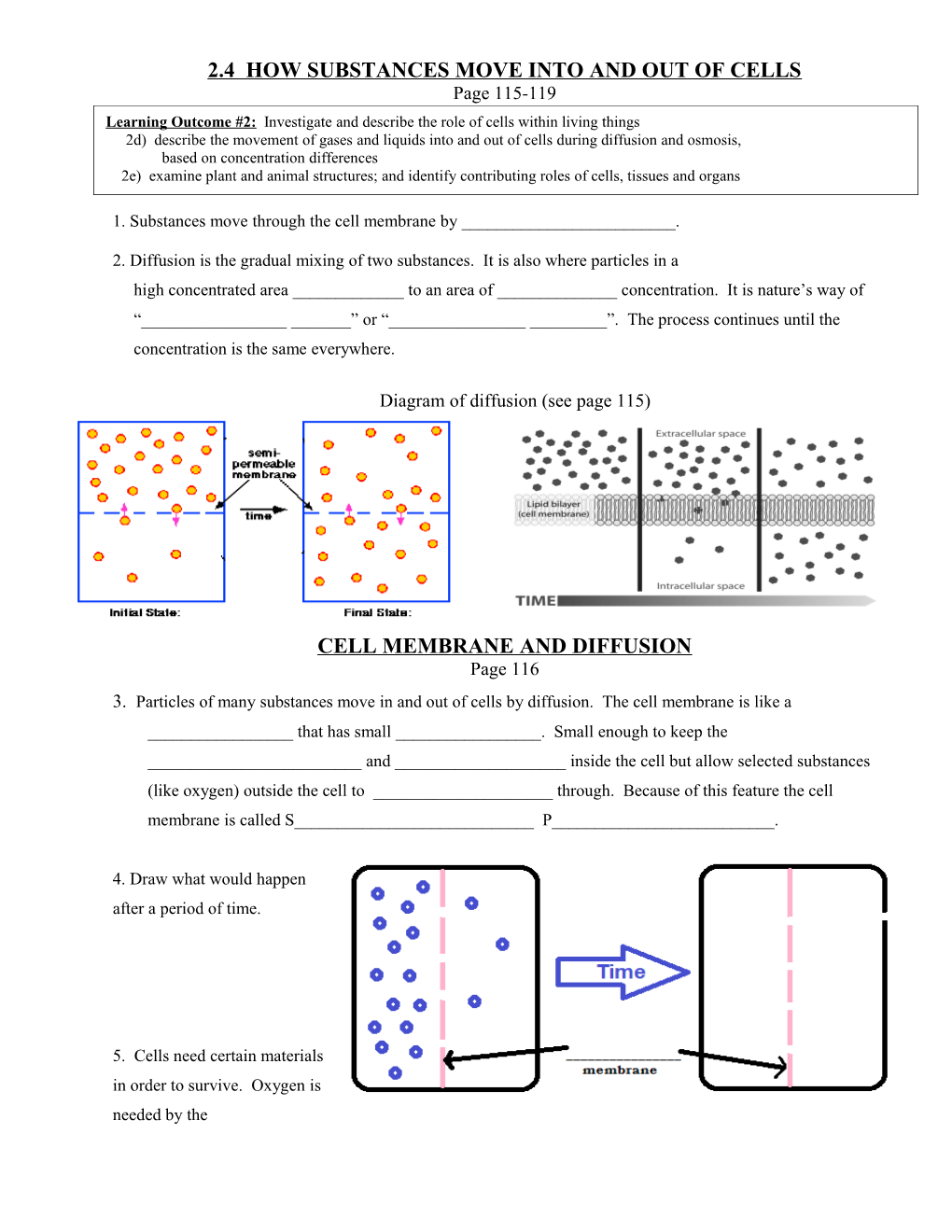 Cells - Tissues - Organs - Systems