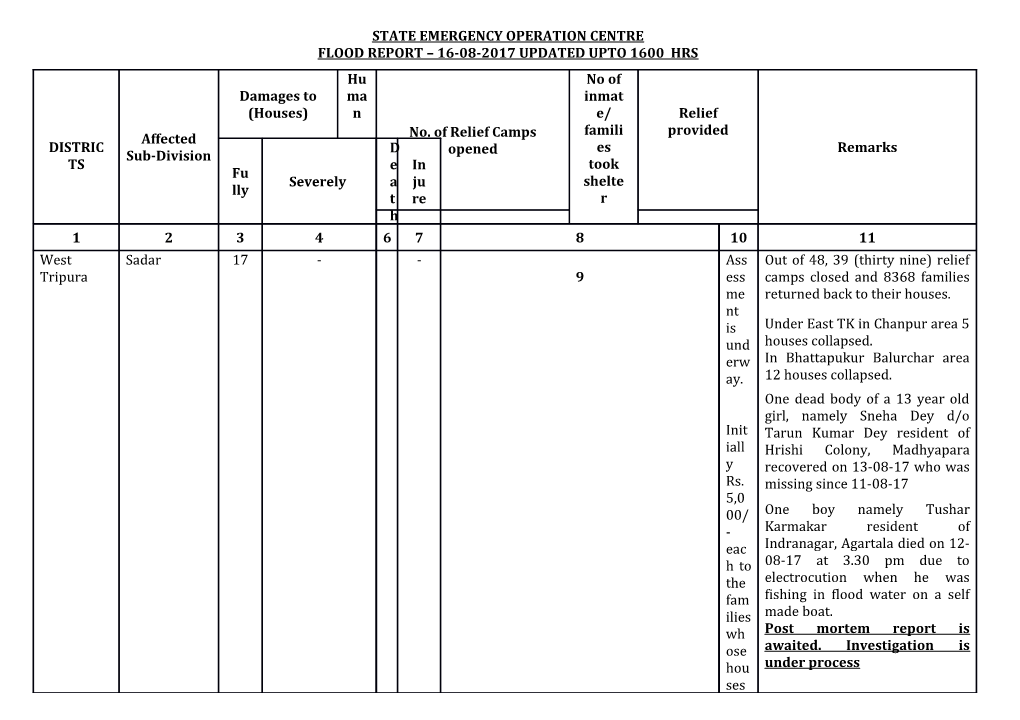 Daily Report Format