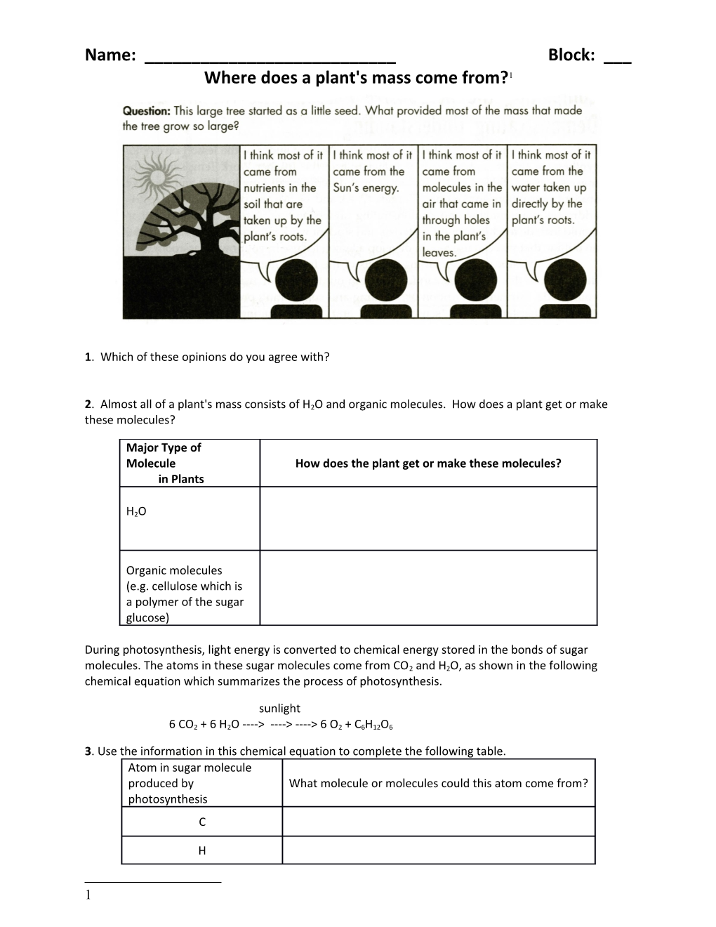 Where Does a Plant S Mass Come From s1