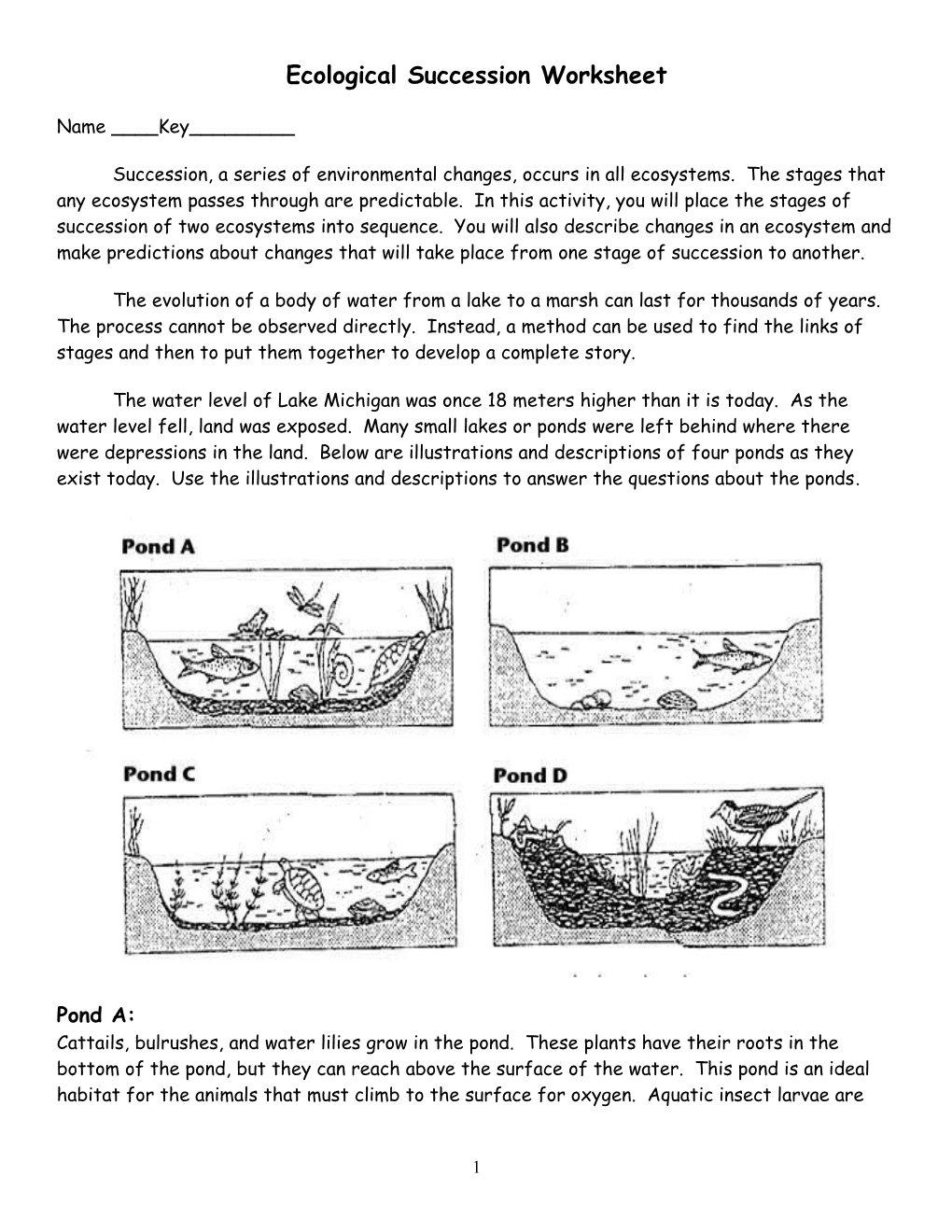 Ecological Succession Worksheet