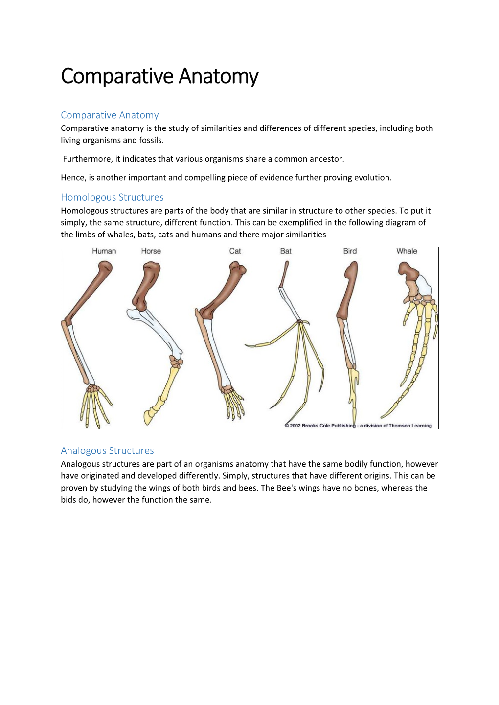 Comparative Anatomy