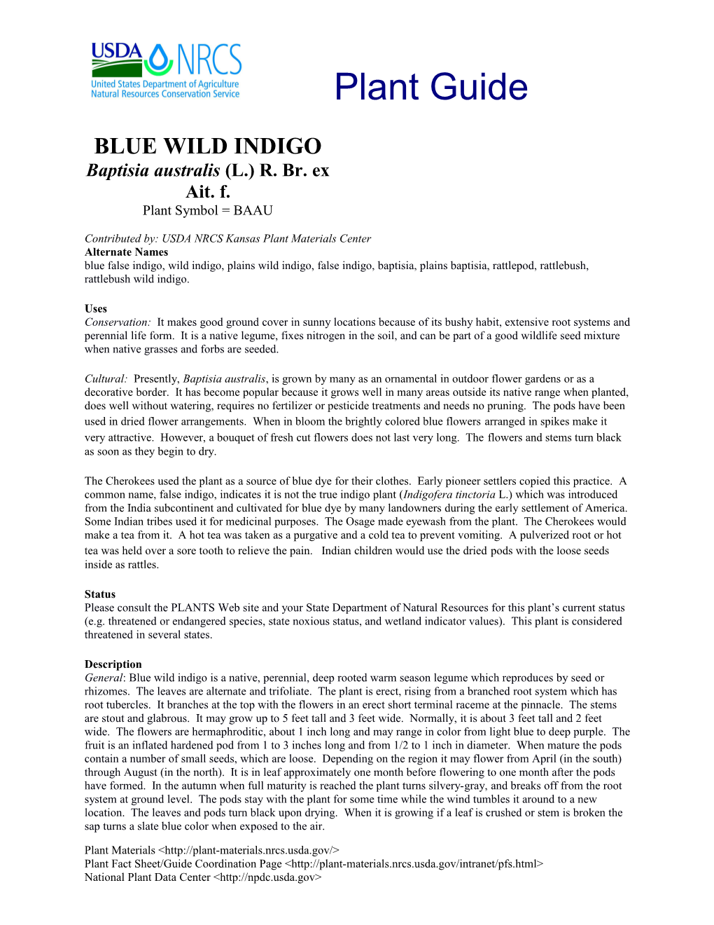 Blue Wild Indigo