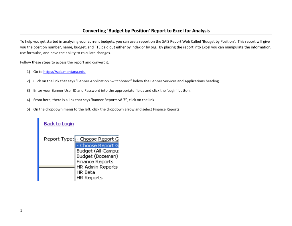 Converting Budget by Position Report to Excel for Analysis