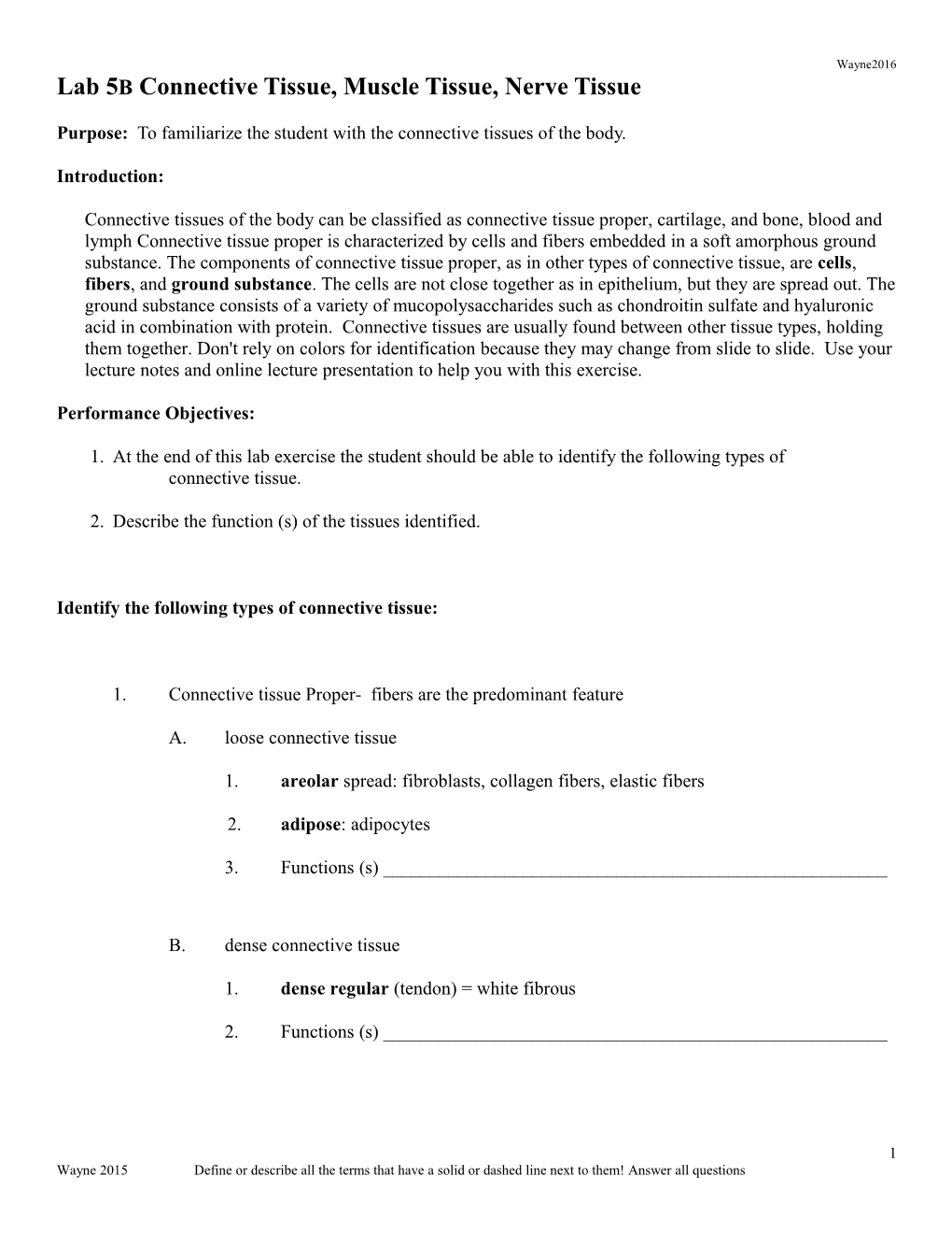 Lab 4 Connective Tissues