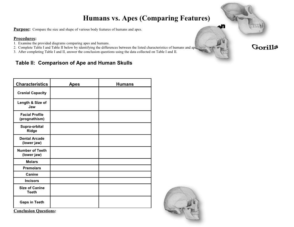 Lab: Humans and Apes: a Comparison of Features