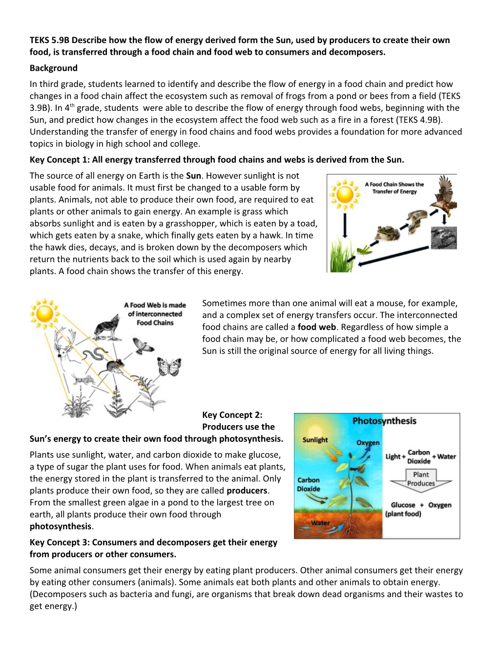 TEKS 5.9B Describe How the Flow of Energy Derived Form the Sun, Used by Producers to Create