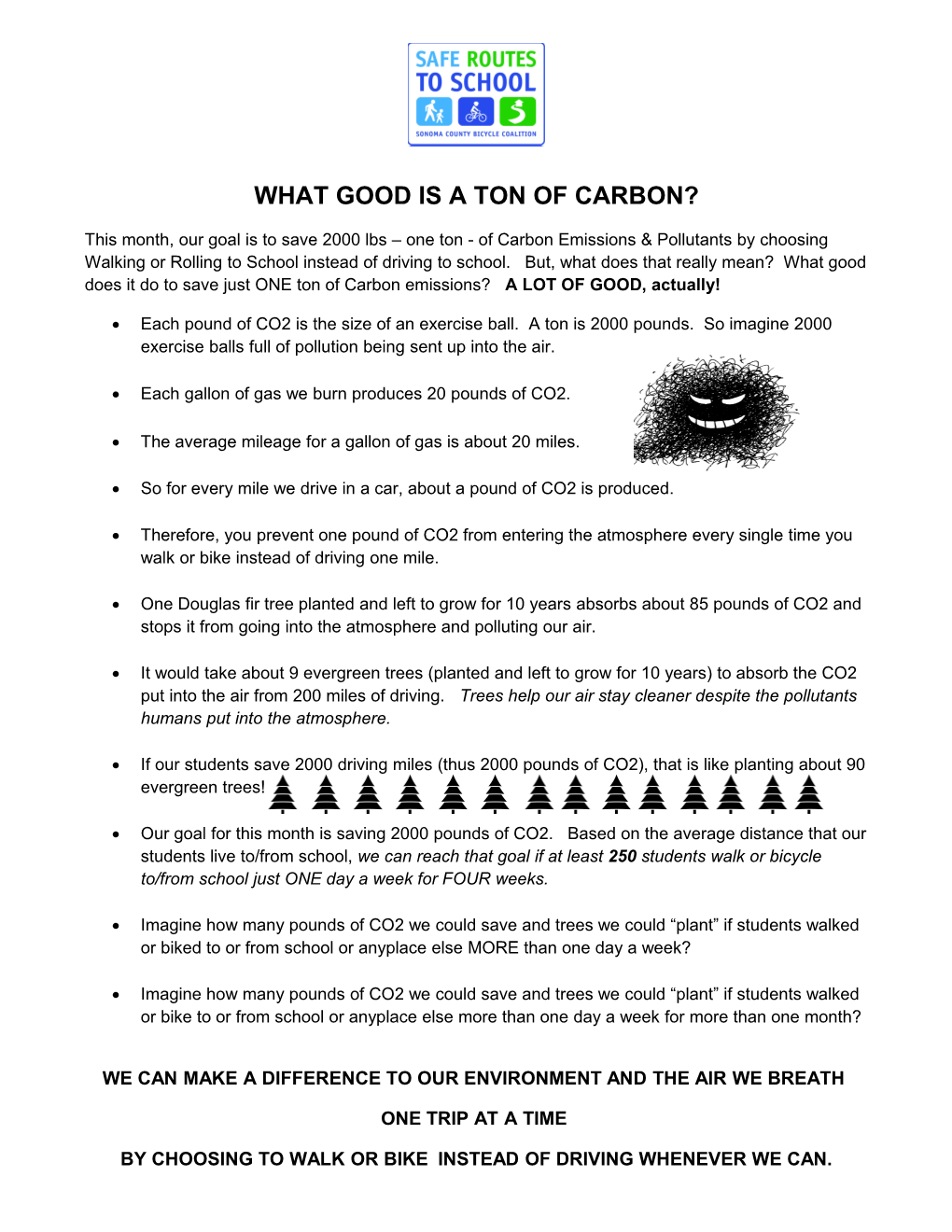 What Good Is a Ton of Carbon?