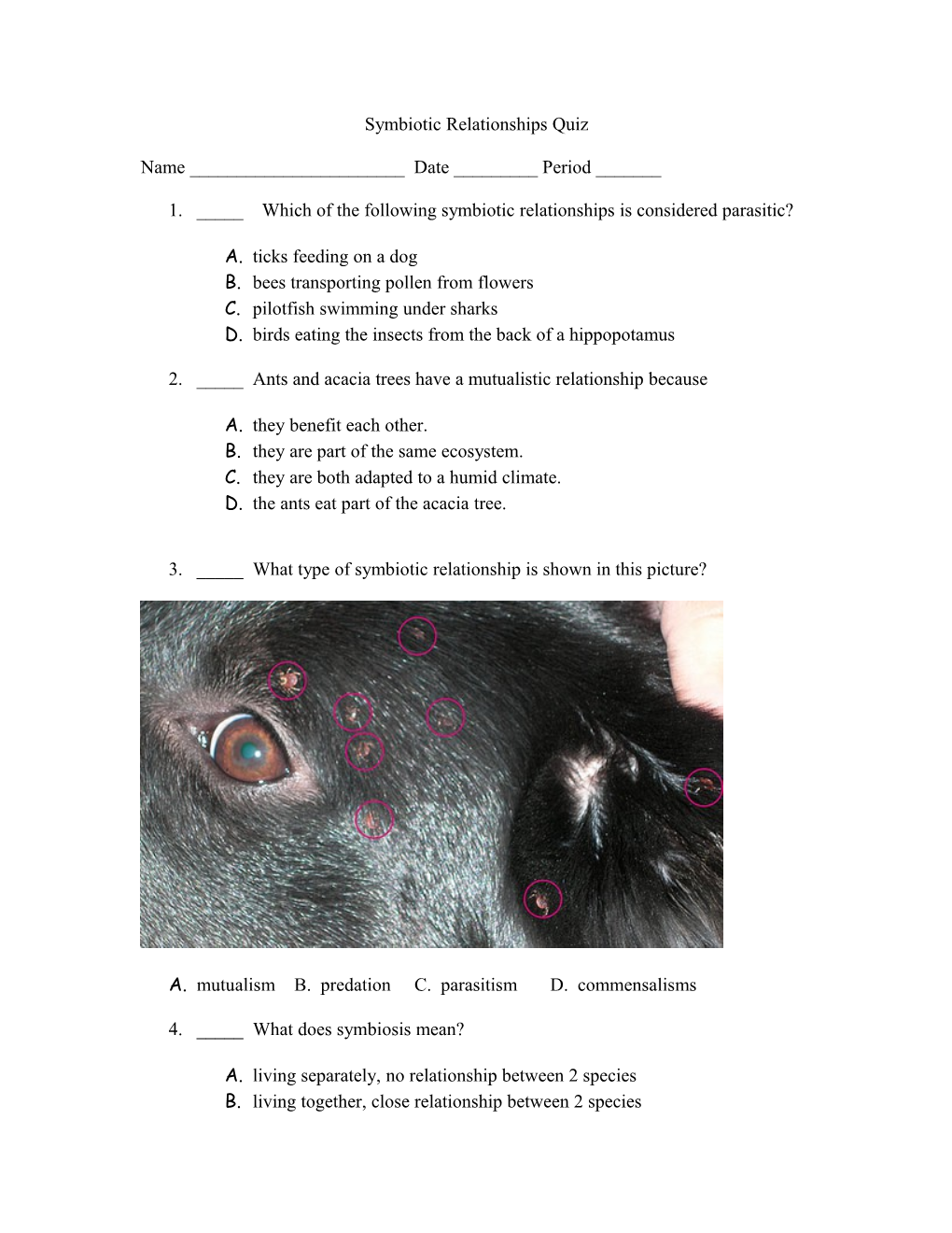 Symbiotic Relationships Quiz