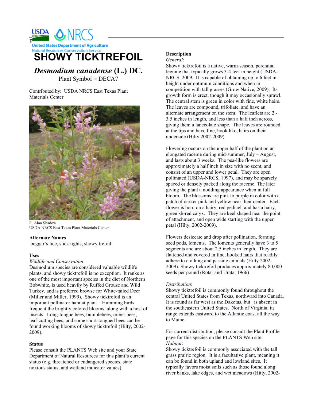 Showy Ticktrefoil Plant Guide
