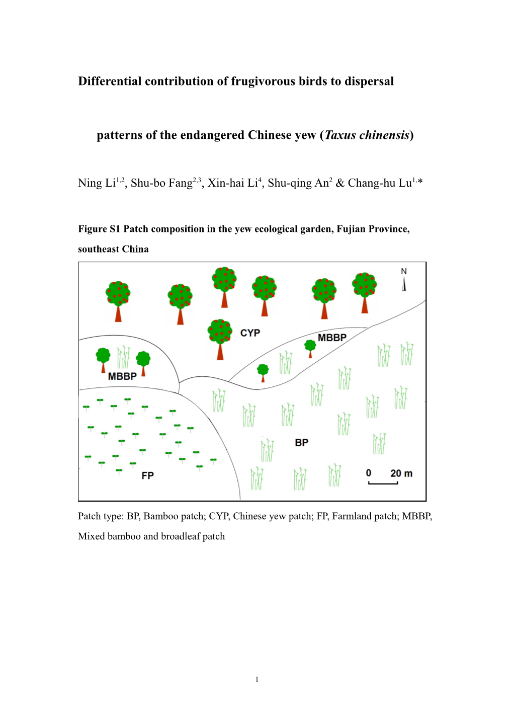 Differential Contribution of Frugivorous Birds to Dispersal Patterns of the Endangered