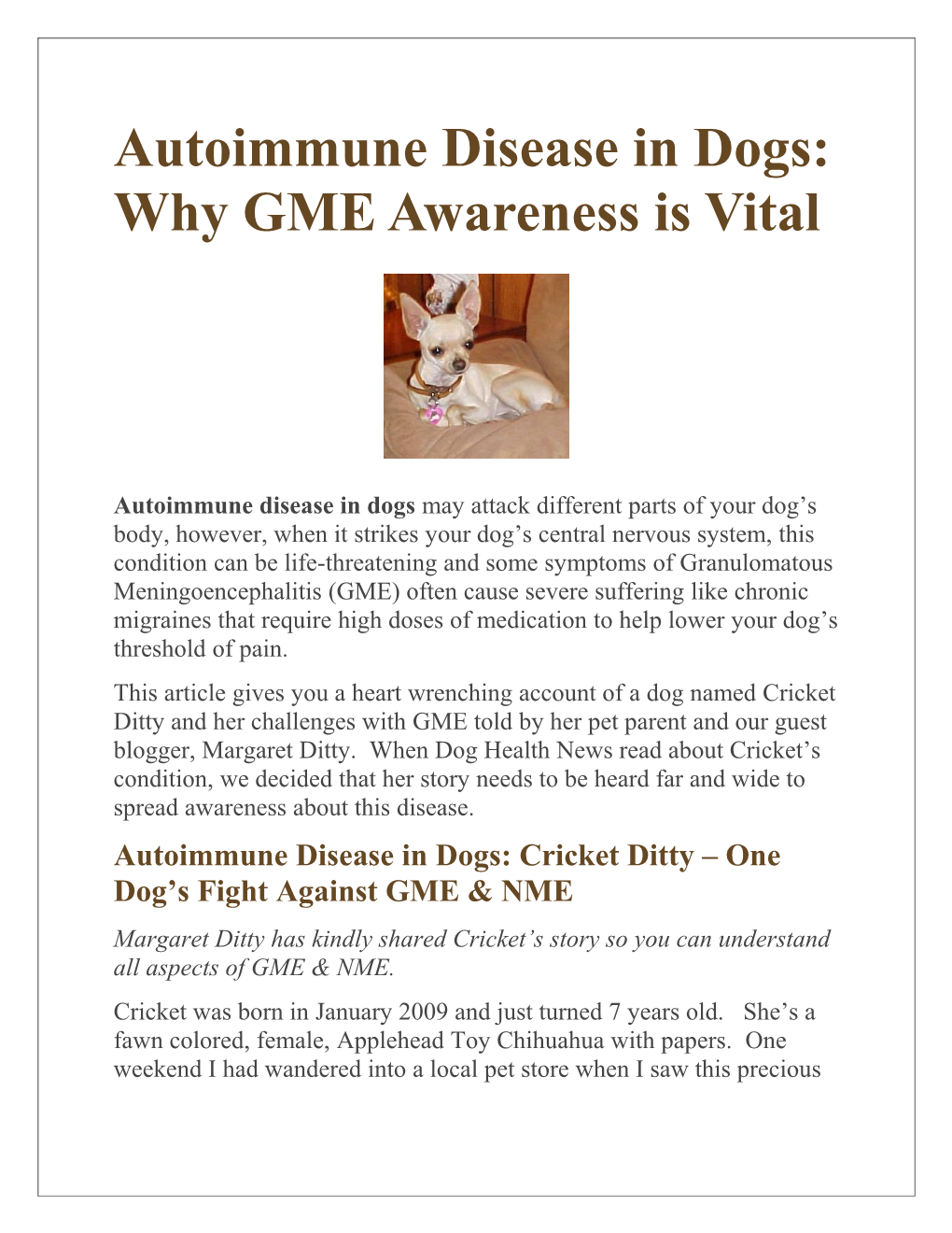 Autoimmune Disease in Dogs: Why GME Awareness Is Vital