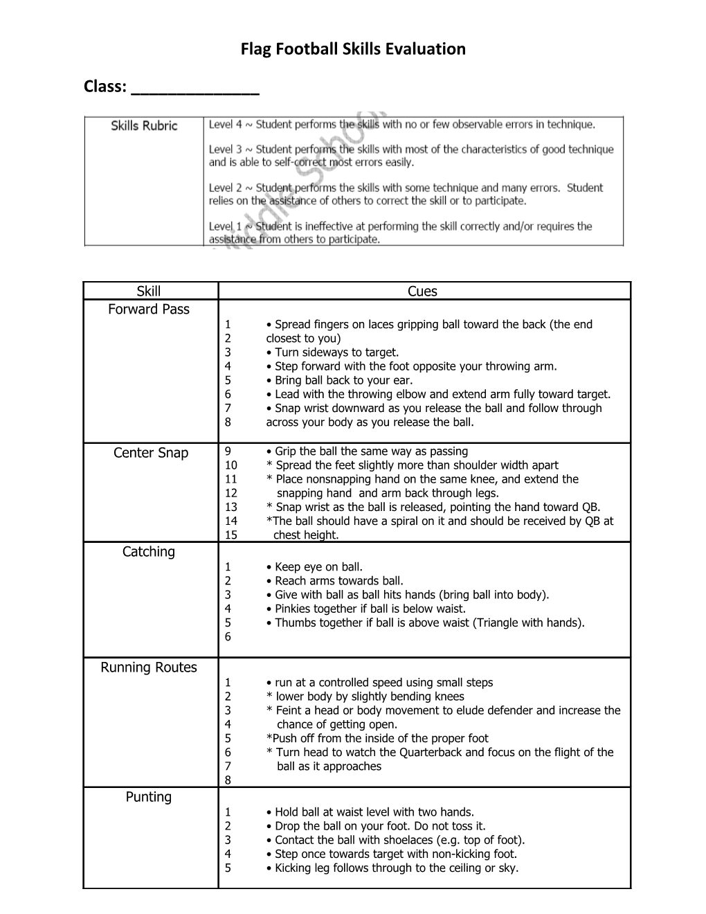 Flag Football Skills Evaluation