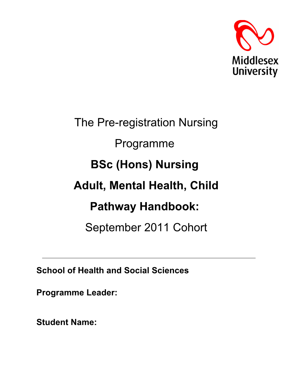 The Pre-Registration Nursing Programme