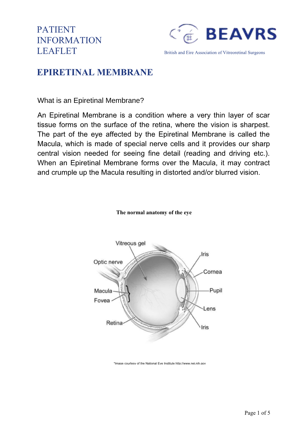 Epiretinal Membrane Leaflet