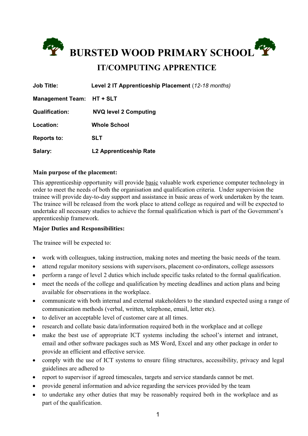 It/Computing Apprentice