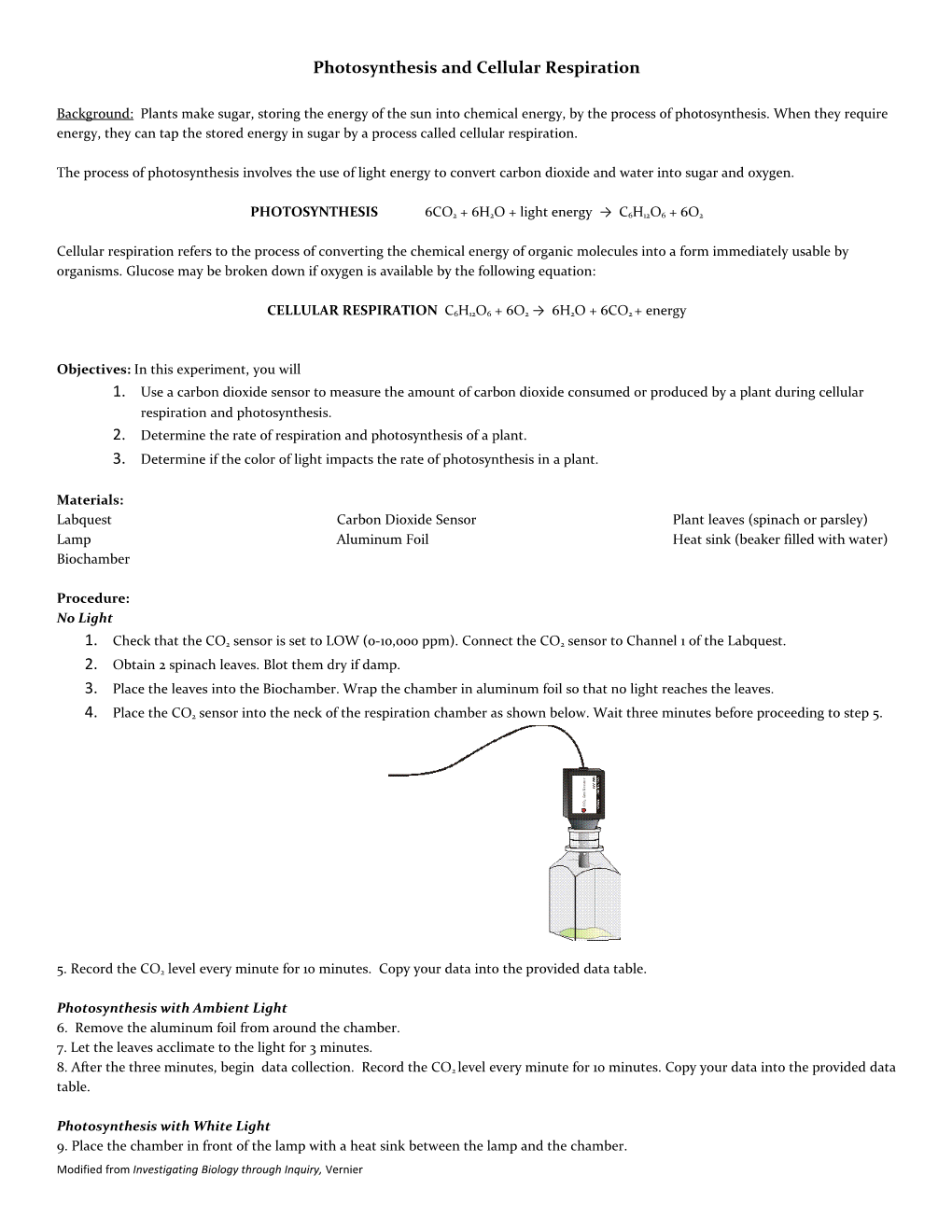 Photosynthesis and Cellular Respiration s1