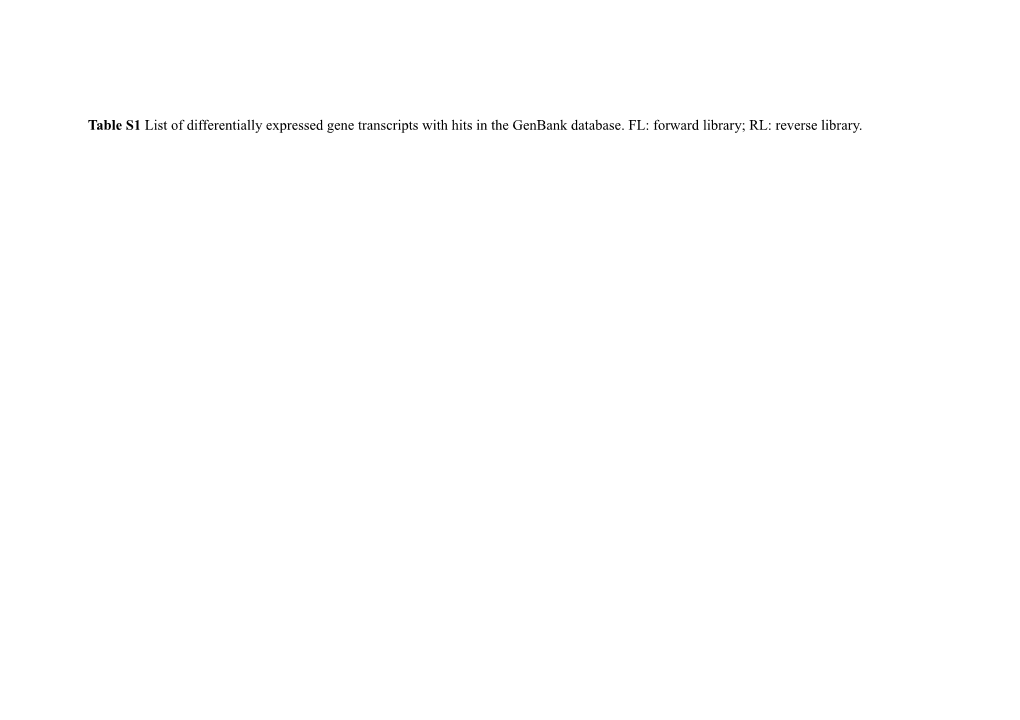 Table S1 List of Differentially Expressed Gene Transcripts with Hits to Genbank Database