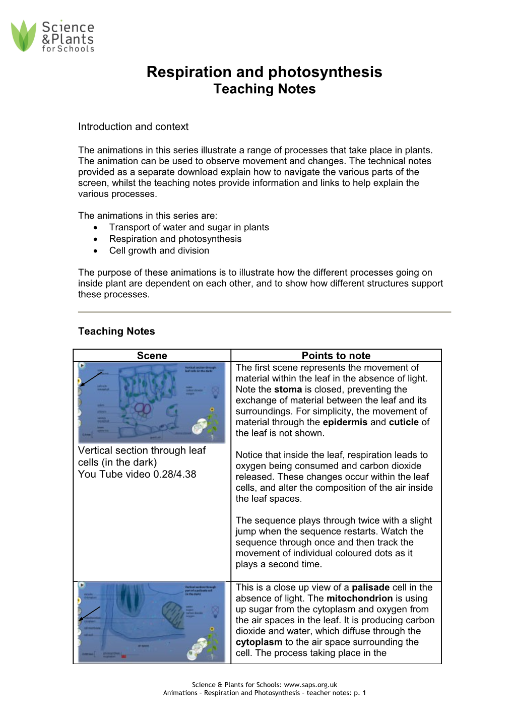 Respiration and Photosynthesis