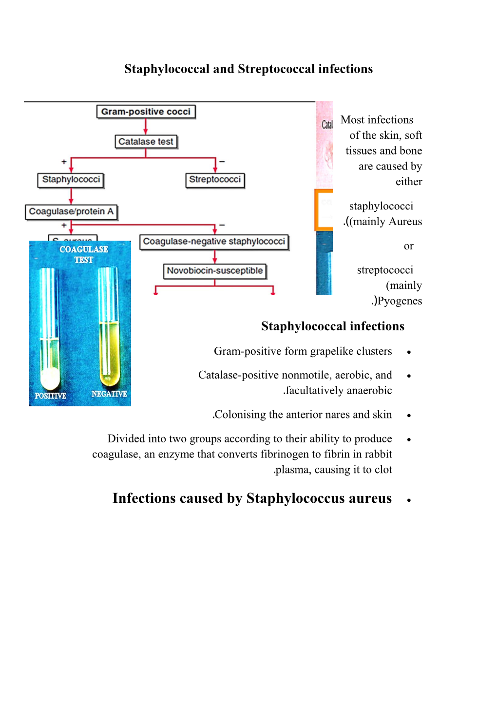 Most Infections of the Skin, Soft Tissues and Bone Are Caused by Either