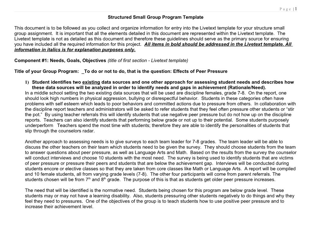 Structured Small Group Program Template