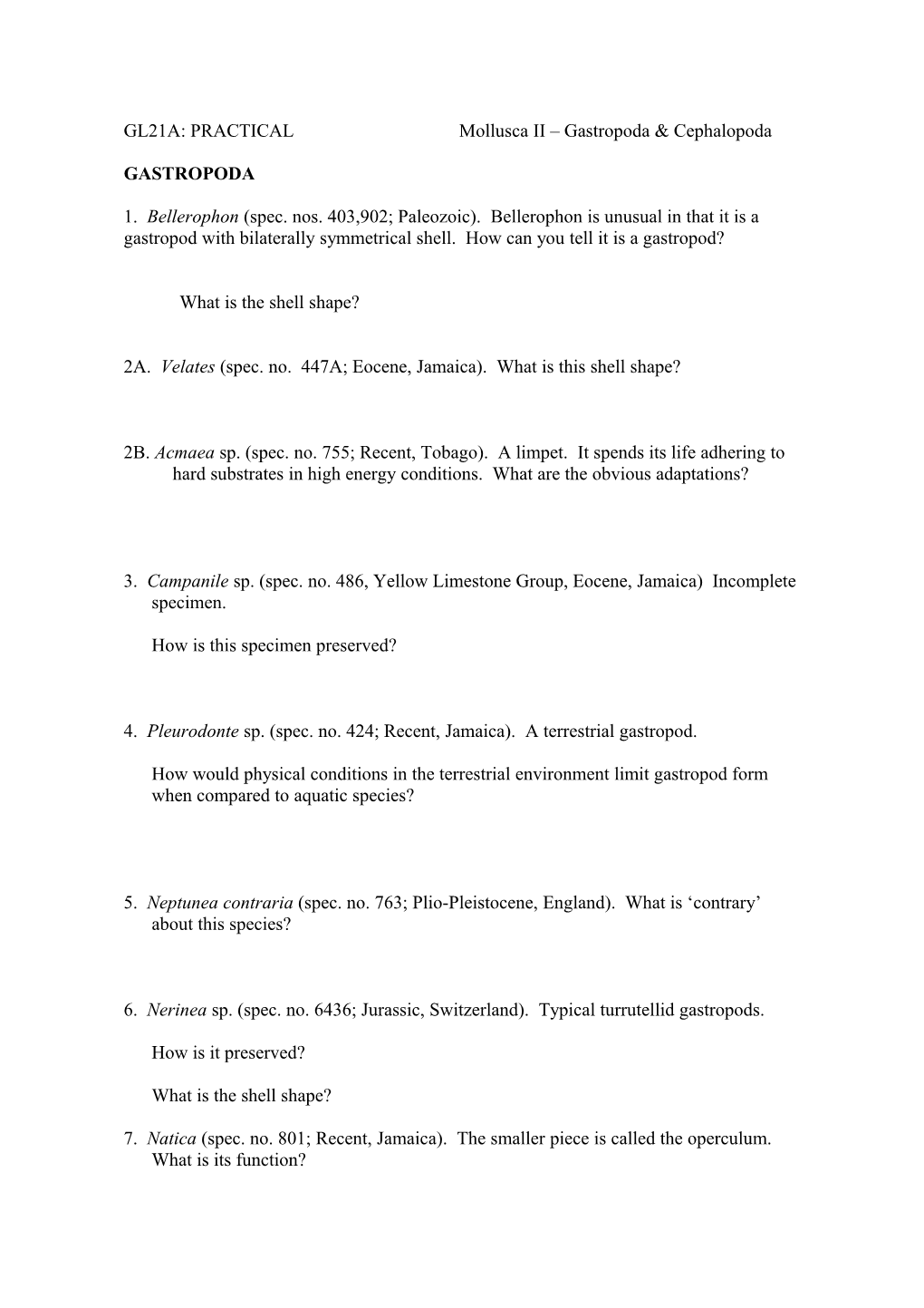 GL21A: Practicalmollusca II Gastropoda & Cephalopoda