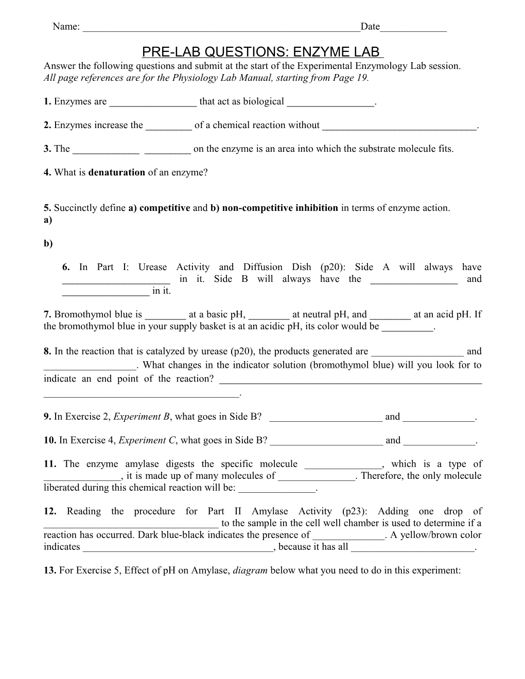 Pre-Lab Questions: Enzyme Lab