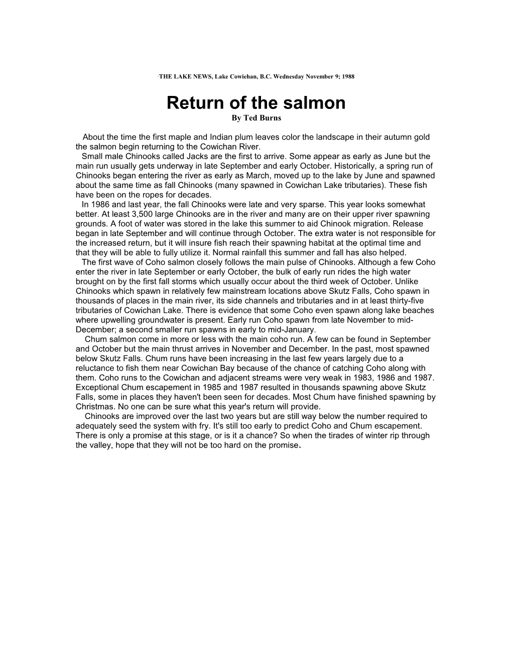 Return of the Salmon