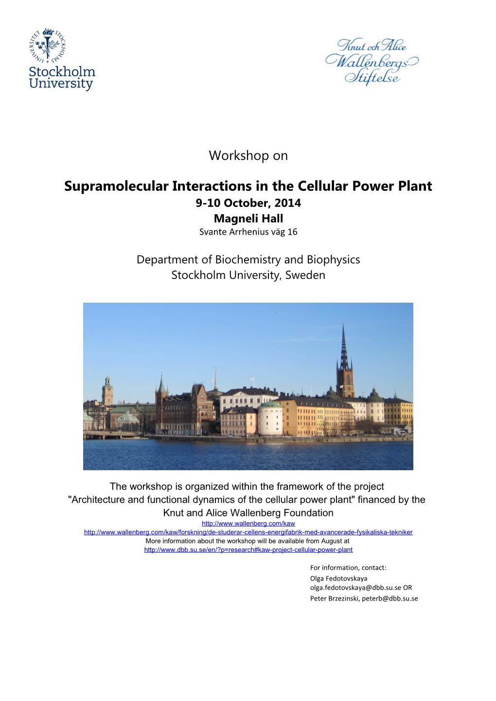 Supramolecular Interactions in the Cellular Power Plant