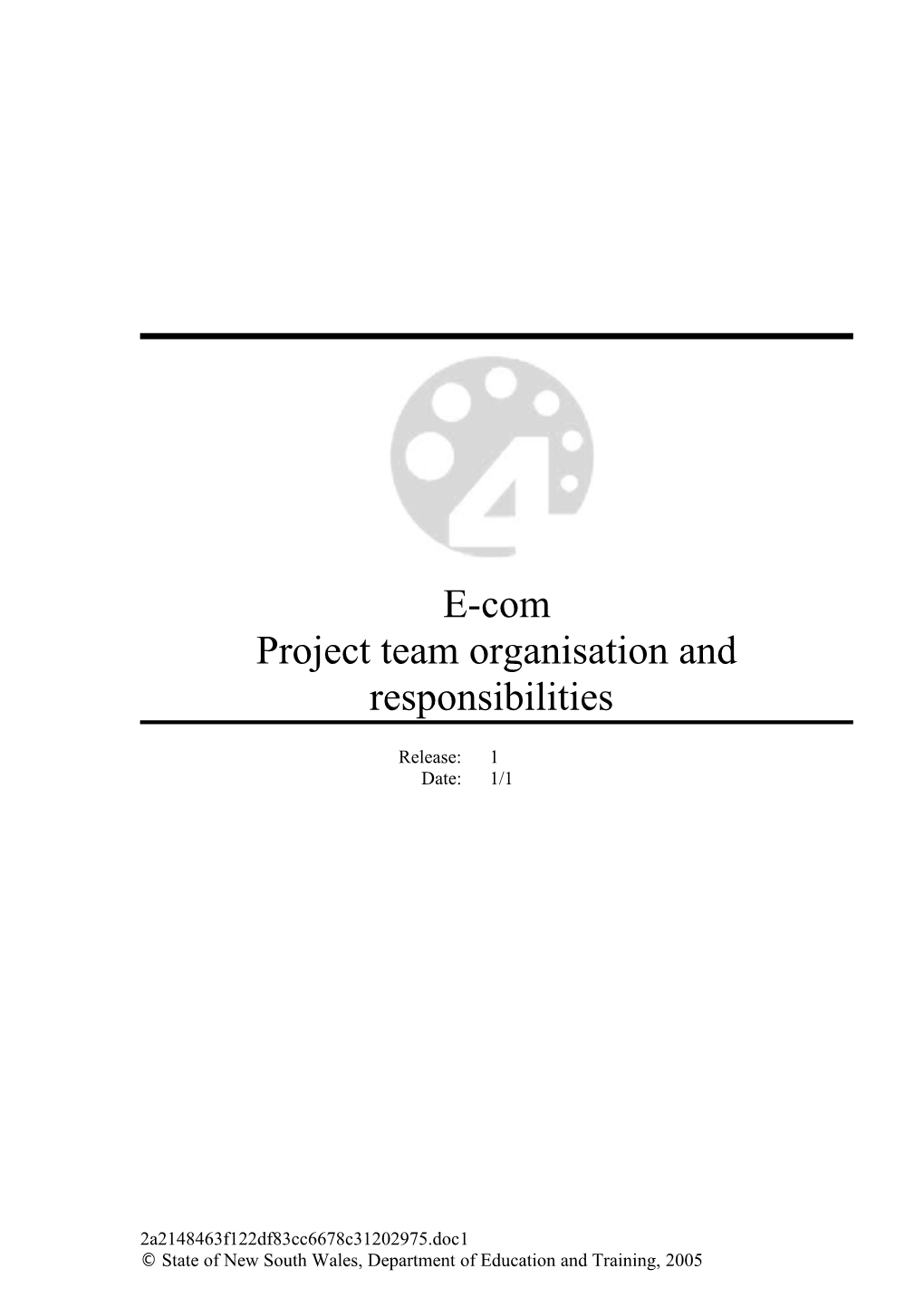 Project Team Organisation and Responsibilities