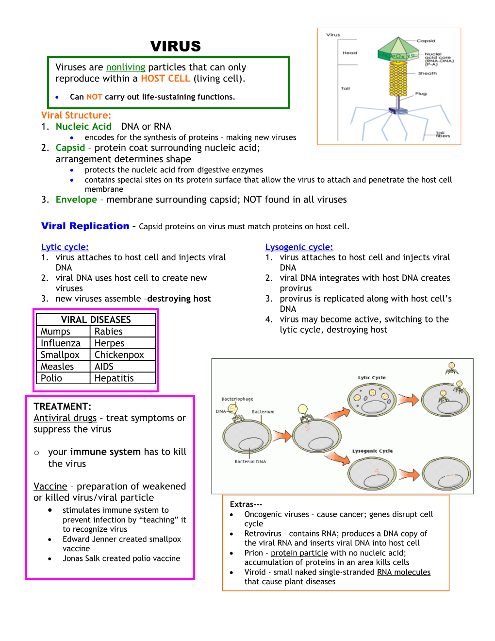 Encodes for the Synthesis of Proteins Making New Viruses